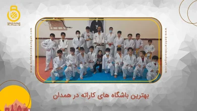 بهترین باشگاه های کاراته در همدان