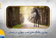 بهترین باشگاه های اسب سواری در سمنان