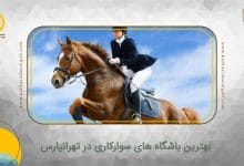 بهترین باشگاه های سوارکاری در تهرانپارس