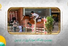 بهترین باشگاه سوارکاری در اردبیل