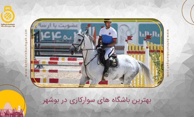 بهترین باشگاه سوار کاری در بوشهر