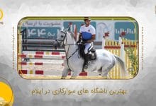 بهترین باشگاه سوارکاری در ایلام