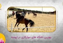 بهترین باشگاه سوارکاری در ارومیه