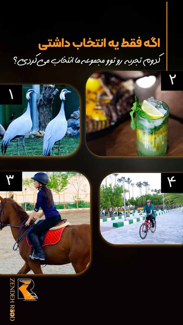 باشگاه سوارکاری زندهرود