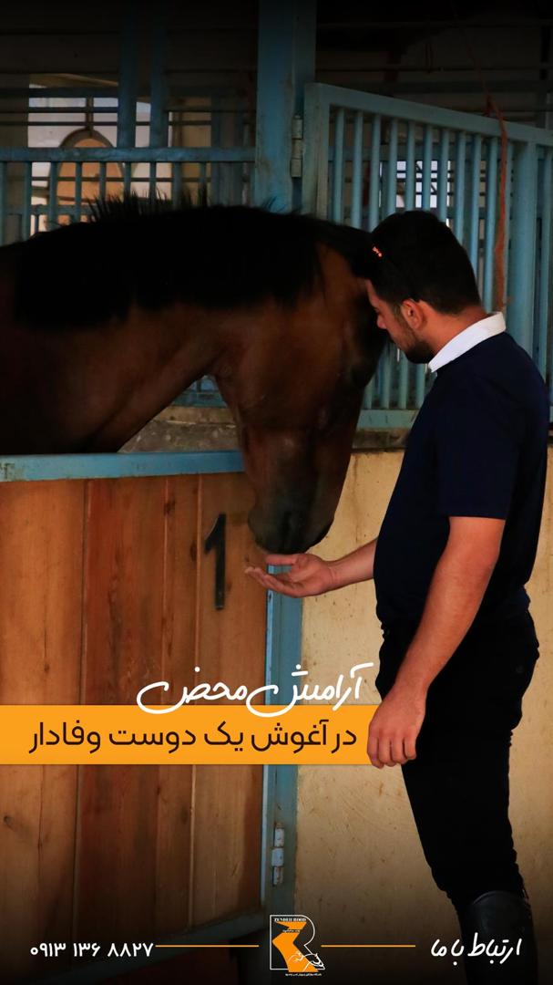 باشگاه سوارکاری زندهرود